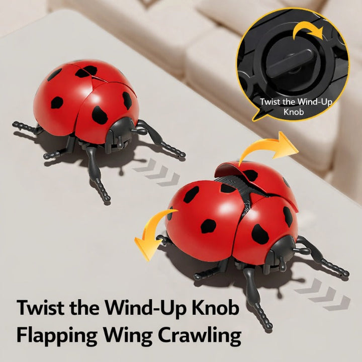 Imma Go Insect Glow & Go Insect Set – Newjoyloo